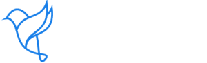 Trendingbird